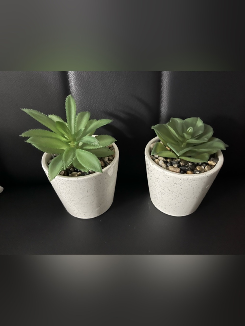3 Decor Faux Succulent in White Speckled Pot - Set of 2 & flower in pot